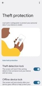 Theft Protection Kya Hai